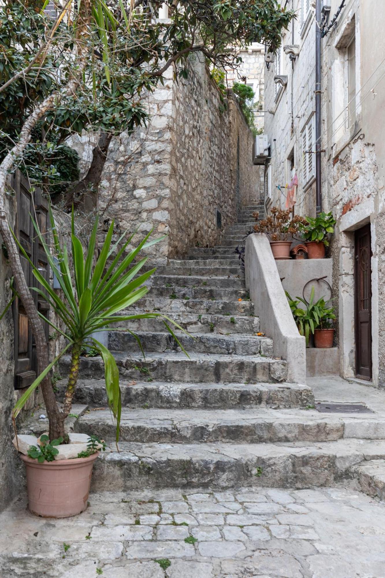 Goat Studio Dubrovnik Bagian luar foto